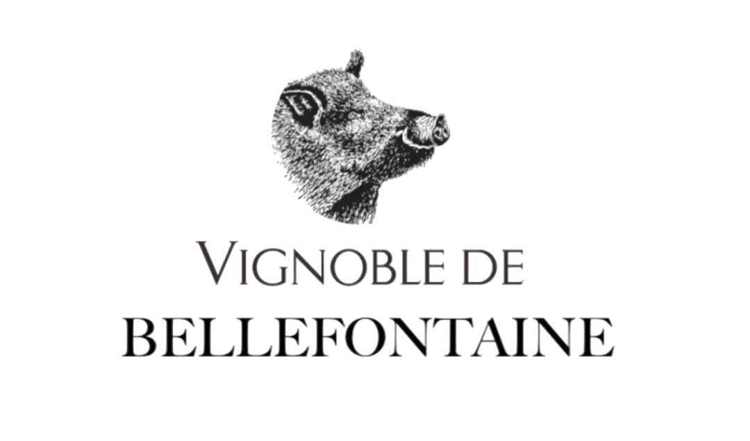 Vignoble de Bellefontaine